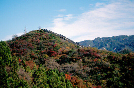 北京八达岭长城红叶岭