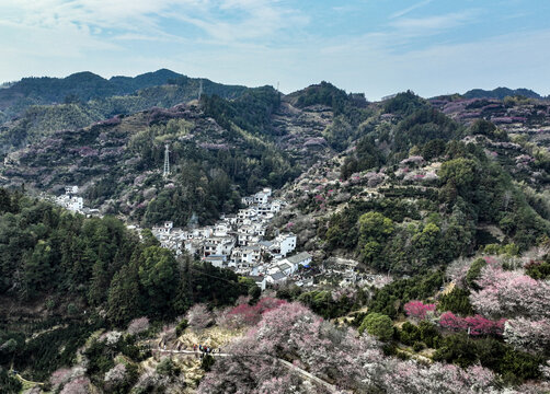 歙县卖花渔村