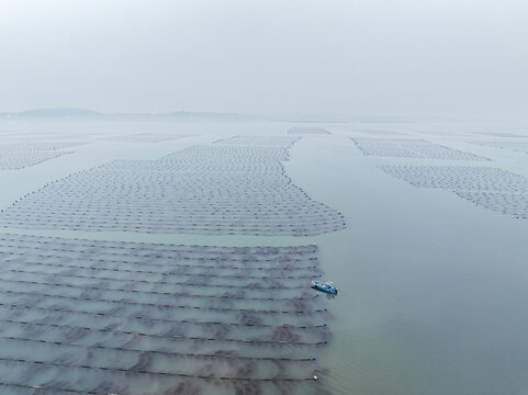 福建莆田湄洲湾海上养殖