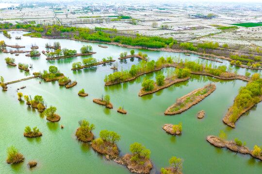 大沙河湿地公园