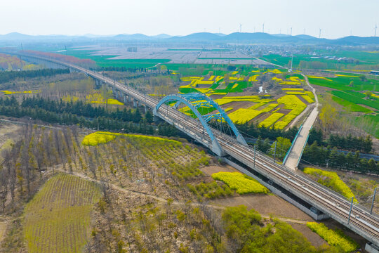 通向春天的路