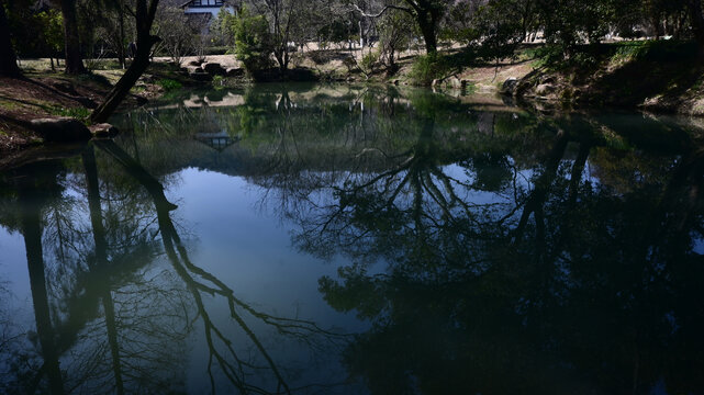 静谧湖水