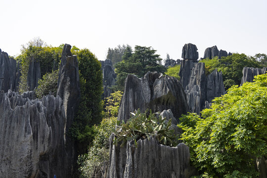 石林景区