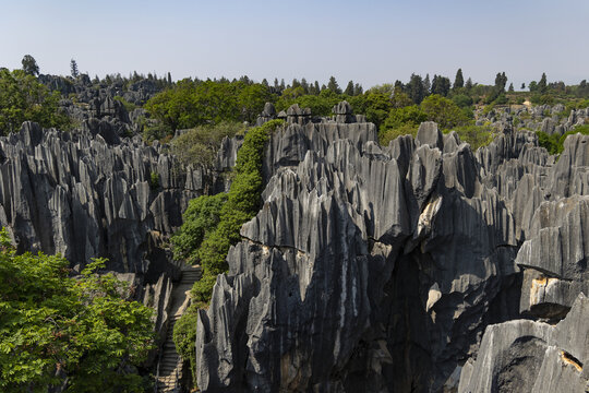 石林景区