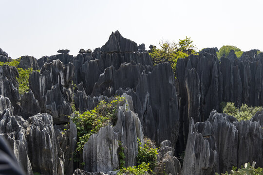 石林景区