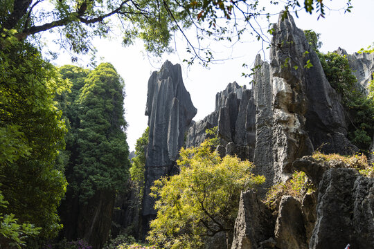 石林景区