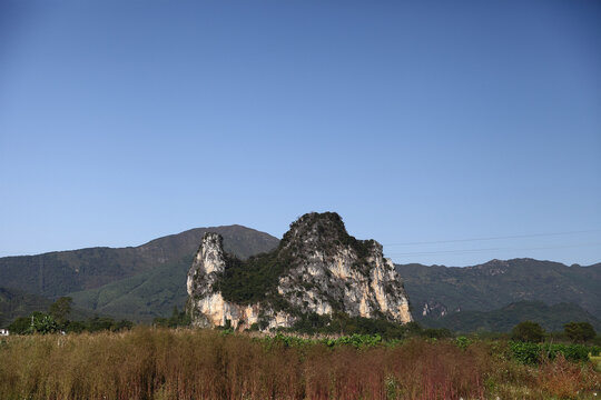 英西骆驼峰