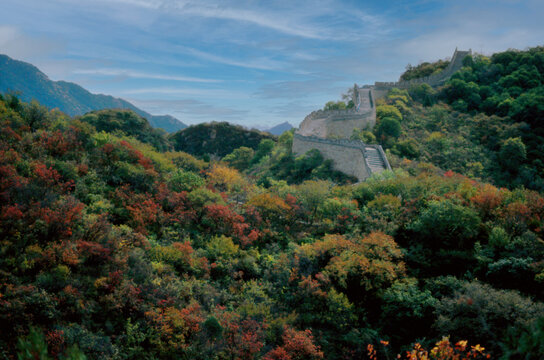 北京八达岭长城红叶