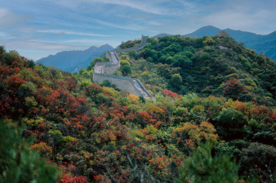 北京八达岭长城红叶