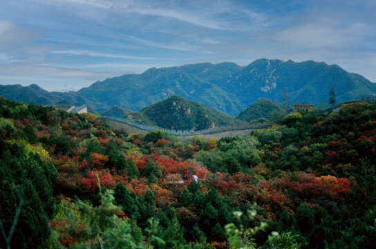 北京八达岭长城红叶