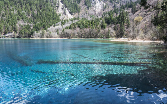 九寨沟五花海色彩斑斓的水