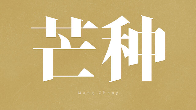 二十四節(jié)氣芒種字體設(shè)計