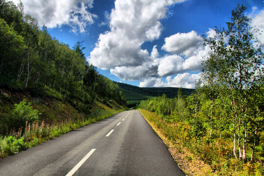 阿尔山草原公路