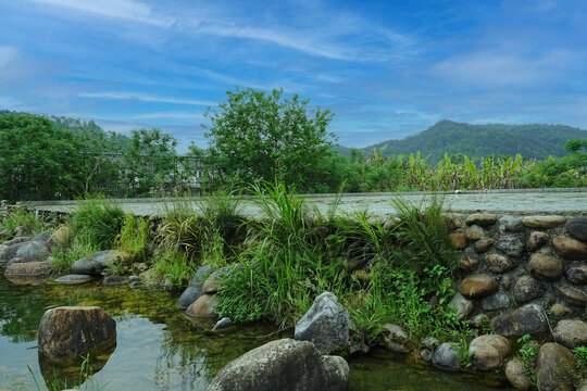 乡村风景