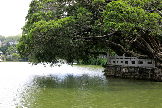 惠州西湖