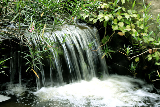 小溪流水