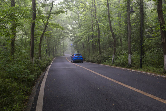 森林公路