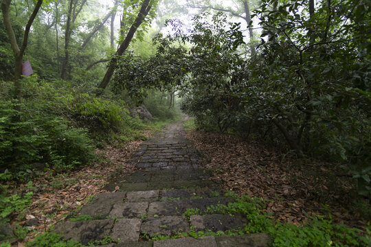 山间石板路