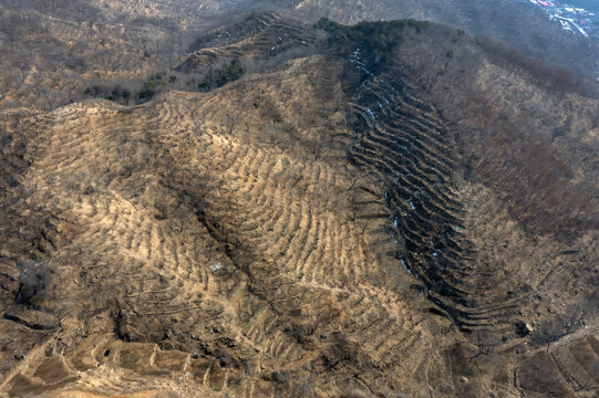 山林梯田图片