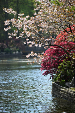 鲁迅公园湖景