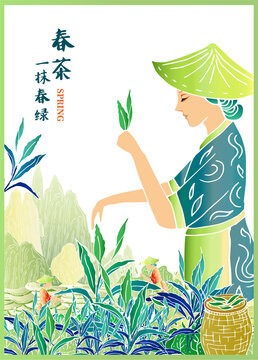 綠茶包裝