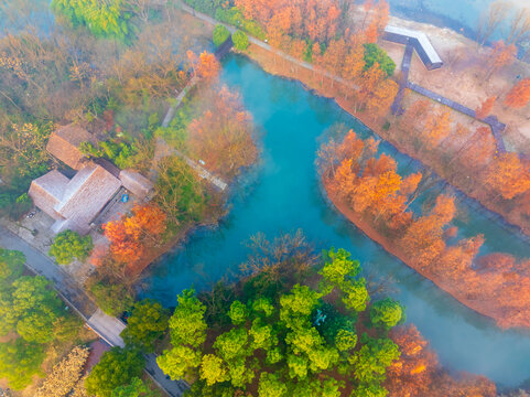 杭州西溪湿地公园森林风光