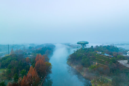 杭州西溪湿地公园森林风光