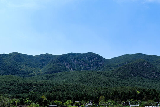 山野森林