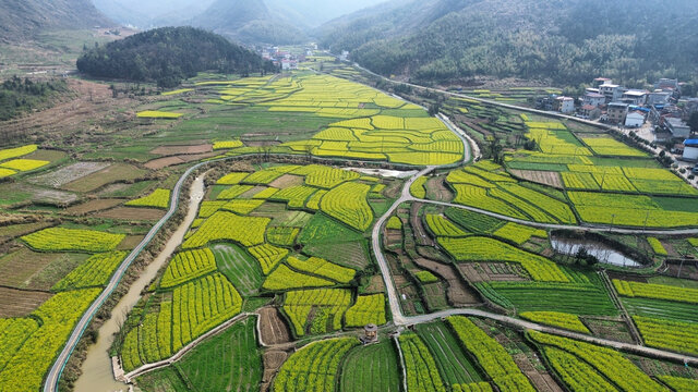 湖北省咸宁市大幕山油菜花