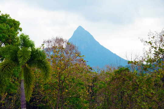 海南三亚植被山脉