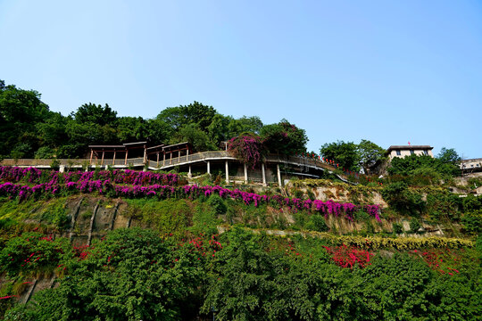 重庆山城巷