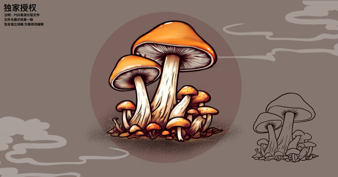 國風(fēng)松茸菌菇手繪插畫