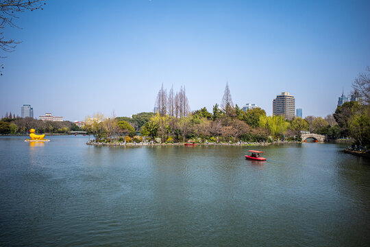 城市中心湖面对岸建筑风景特写