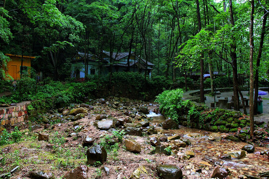 张家界金鞭溪景区