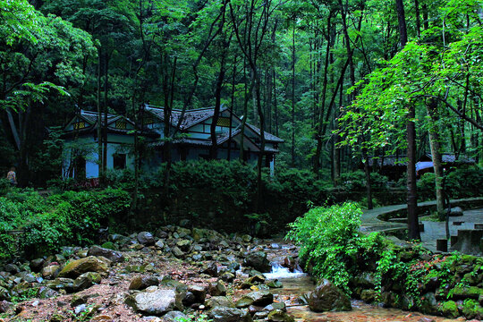 张家界金鞭溪景区