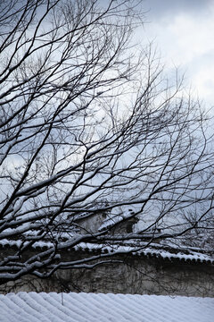 留园雪景