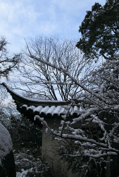 留园雪景