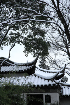 留园雪景