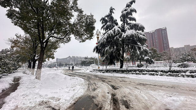 雪景