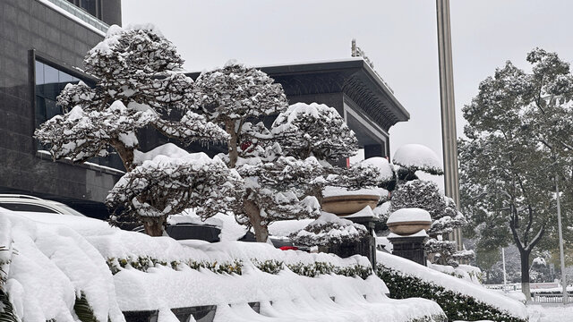 雪景