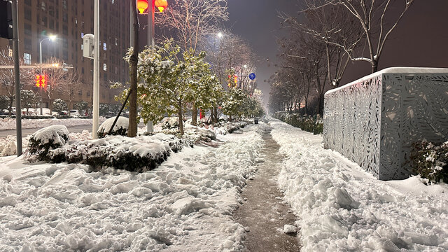 雪乡美景