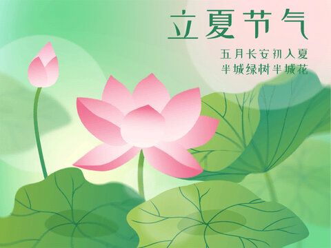 立夏節(jié)氣海報(bào)夏天荷花荷葉