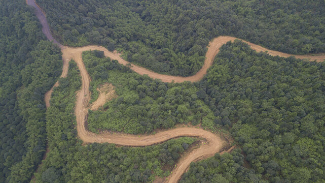 森林公路