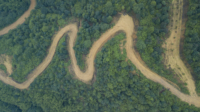 森林公路