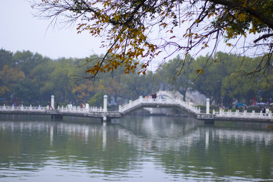 桂林榕湖景区