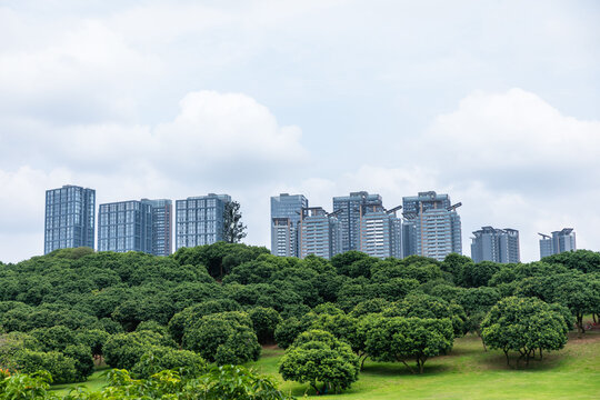 深圳城市绿地景观