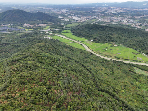 山区稻田