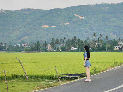 山野间稻田里