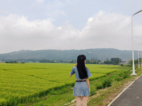 山野间稻田里