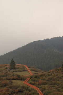 高山美景